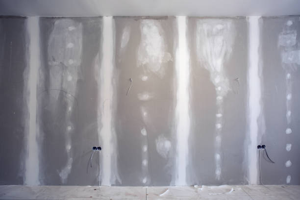 Best Attic Mold Removal  in North Enid, OK